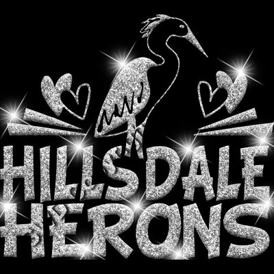 GLT88 SILVER GLITTER Thumbnail